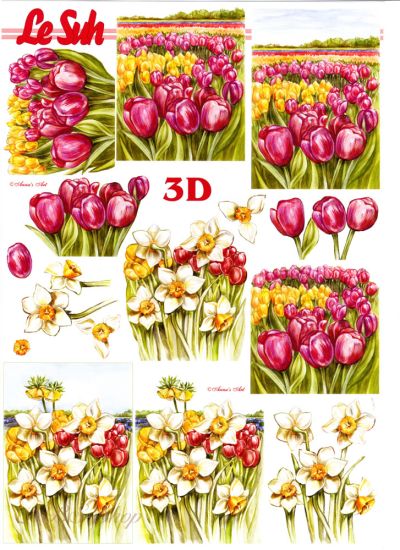 3D Bogen Tulpen und Narzissen